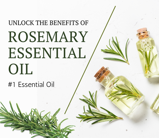 Benefits of Rosemary Essential Oil