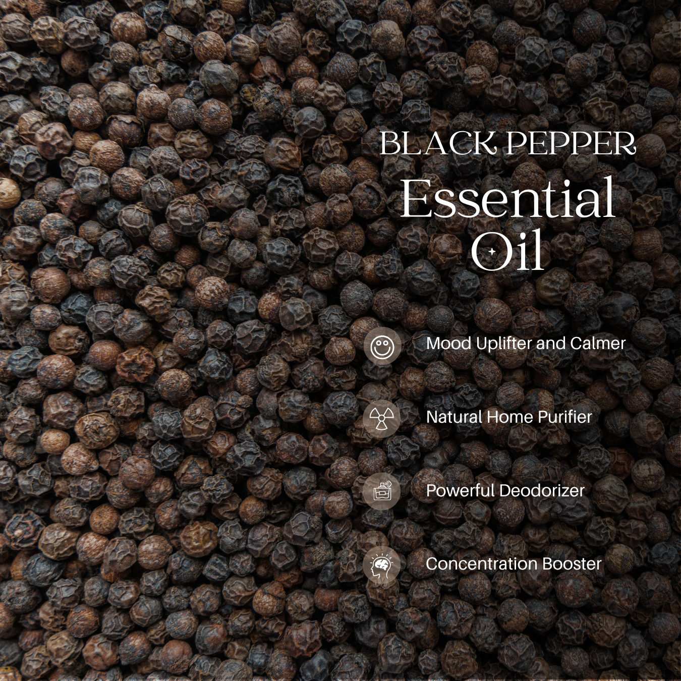 Black Pepper Essential Oil - 1000 G