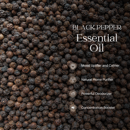 Black Pepper Essential Oil - 1000 G