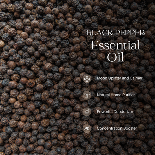 Black Pepper Essential Oil - 100 ml