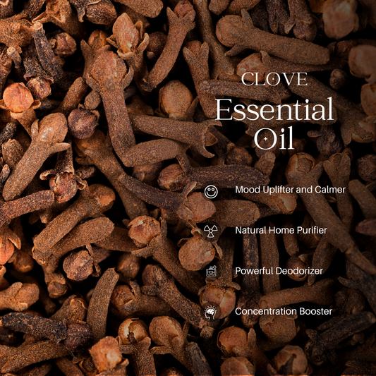 Clove Essential Oil - 100 ml
