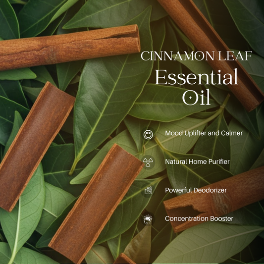 Cinnamon leaf Essential Oil - 100ml