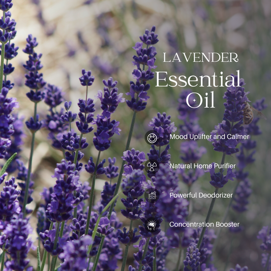 Lavender Essential Oil - 100ml