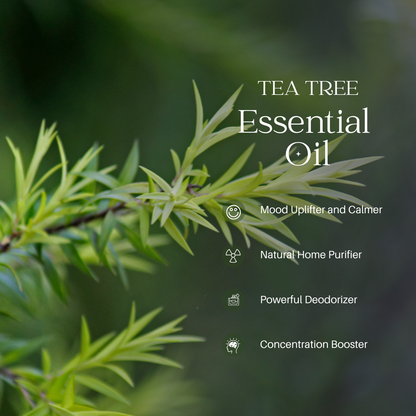 Tea Tree Essential Oil - 100ml