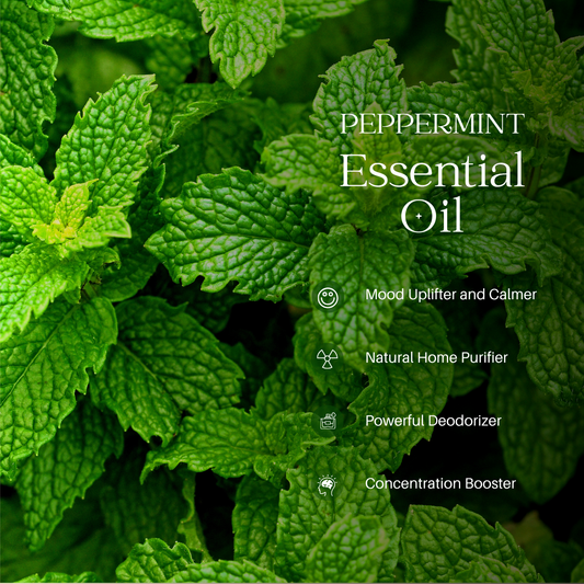 Peppermint Essential Oil - 100ml