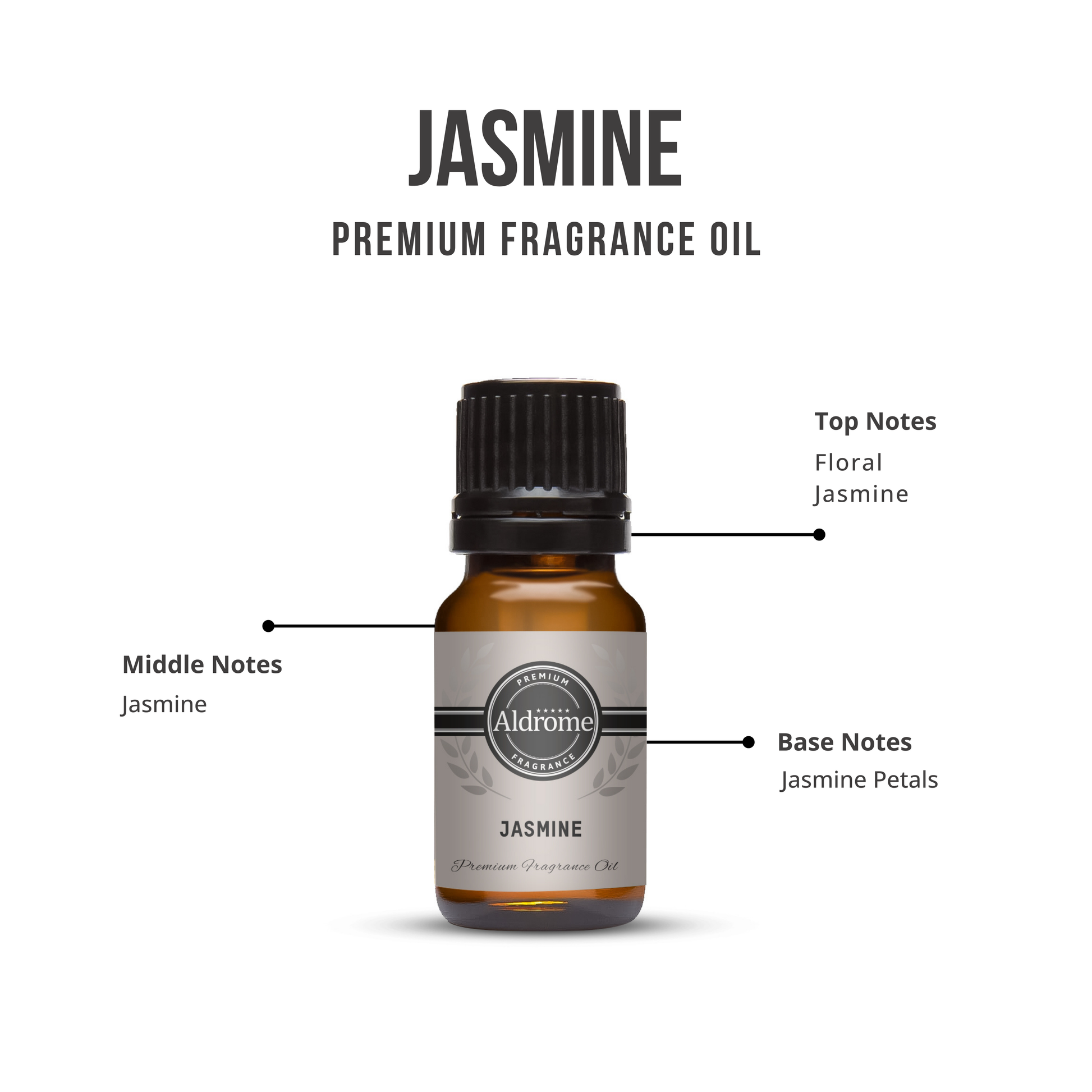 Jasmine Fragrance Oil 10 ml