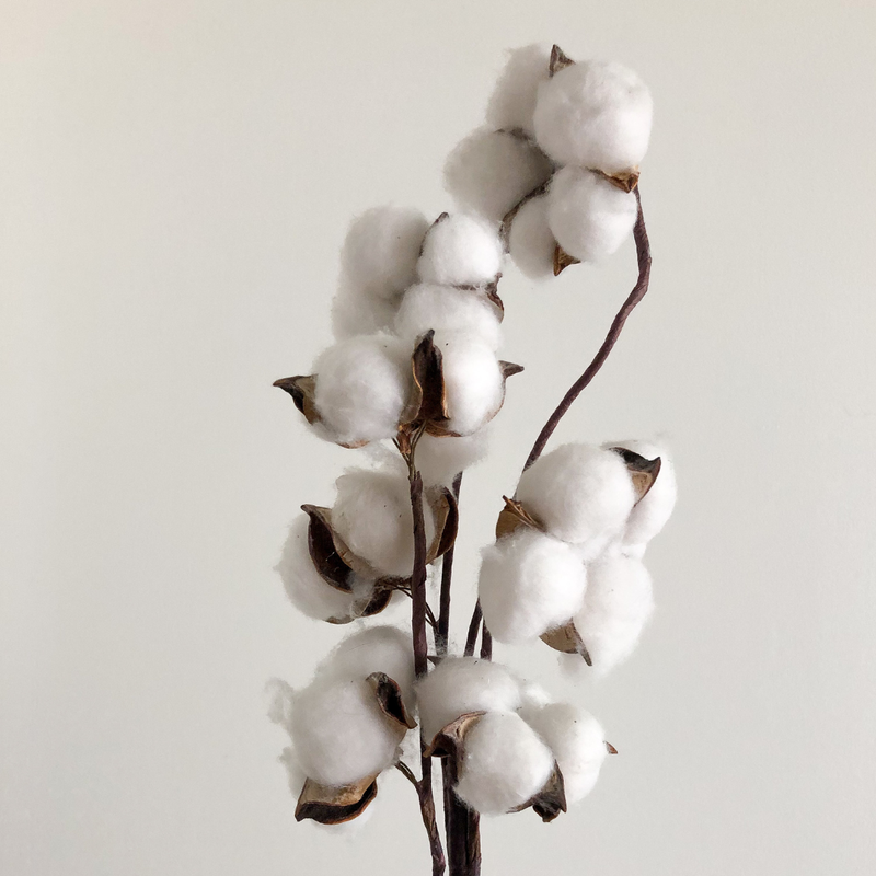 Cotton balls