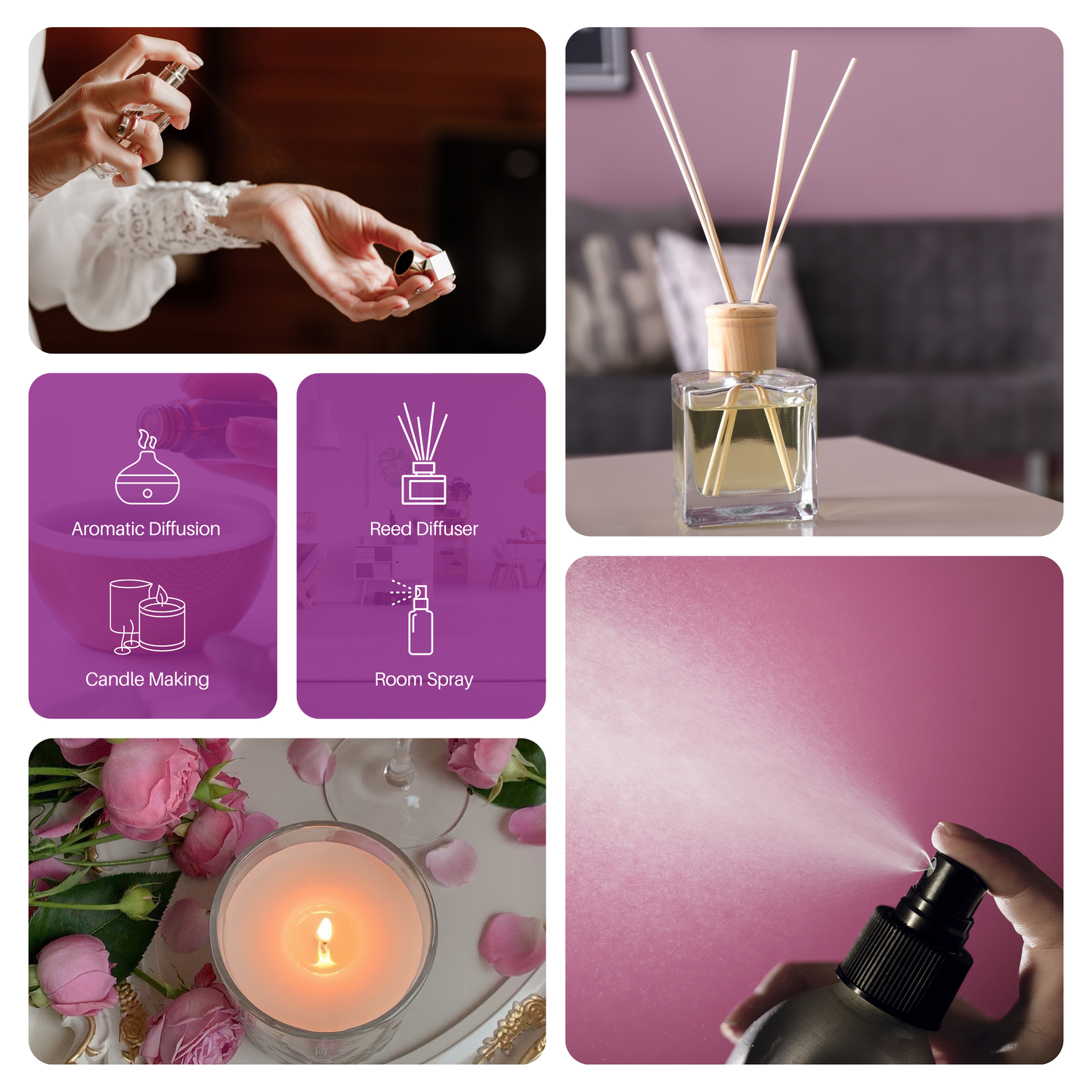 Velvet Rose Oud Fragrance Oil 30ml Buy Scented Oils Online